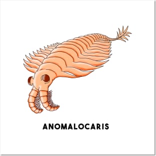 Anomalocaris Posters and Art